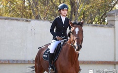 玩弄老太太的BB